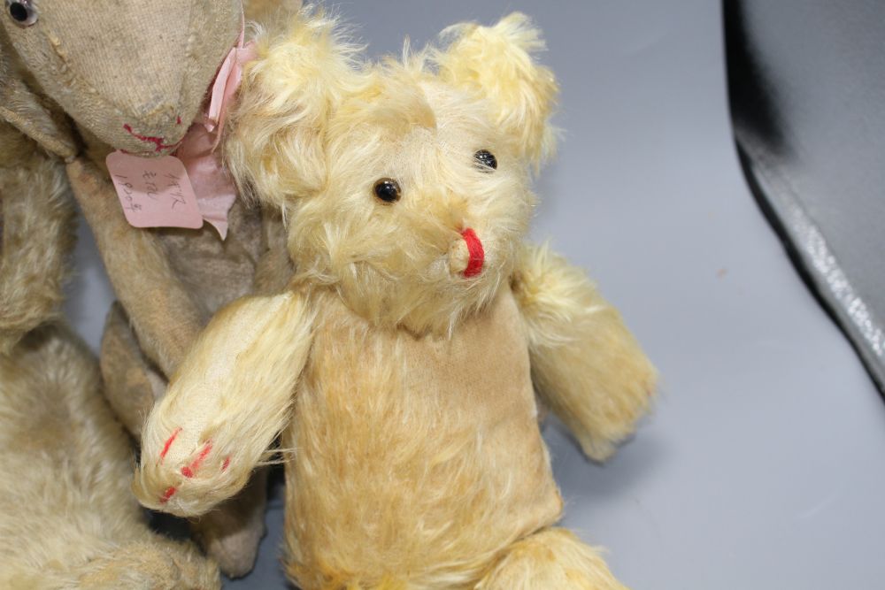 A gold plush teddy bear with plastic eyes, black stitched snout and worn brown leather pads, height 56cm, a smaller later bear, 33cm an
